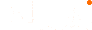 Logo Baldussi Telecom
